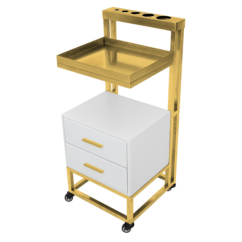 New hot-selling salon tool cart ZY-784